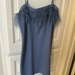 Blue Feather Trim Dress